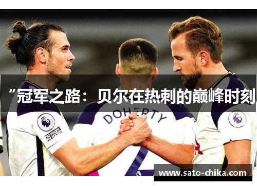 “冠军之路：贝尔在热刺的巅峰时刻”